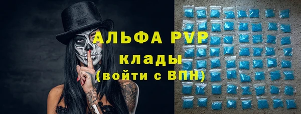 крисы Майский