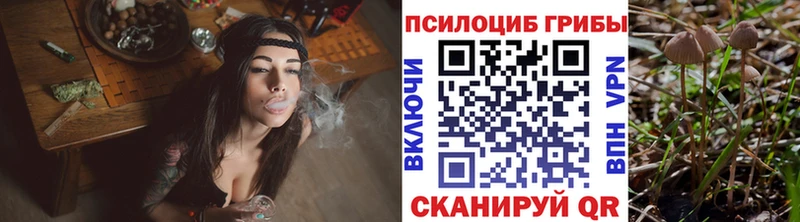 Галлюциногенные грибы Psilocybine cubensis  Новоалтайск 