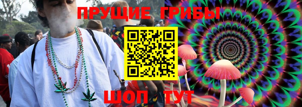 как найти закладки  Псилоцибиновые грибы мицелий  Вход с VPN  Новоалтайск 