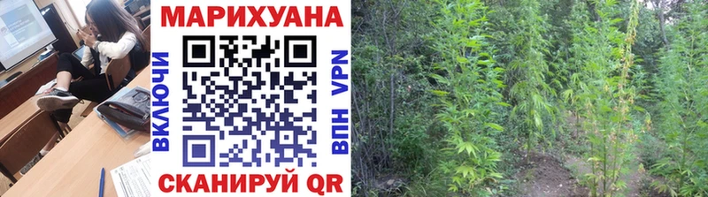 OMG маркетплейс  Новоалтайск  Бошки Шишки MAZAR 
